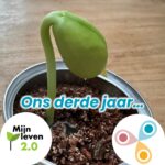 Eerste blad aan steeltje boven de grond met tekst: ons derde jaar