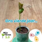 Blaadjes rechtop op steeltje met tekst: ons vierde jaar