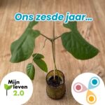 Bladeren flink gegroeid met tekst: ons zesde jaar
